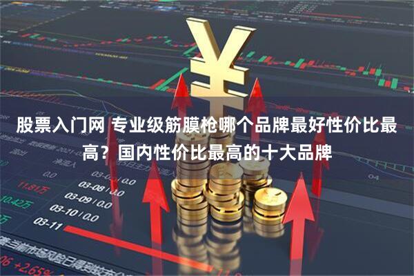 股票入门网 专业级筋膜枪哪个品牌最好性价比最高？国内性价比最高的十大品牌