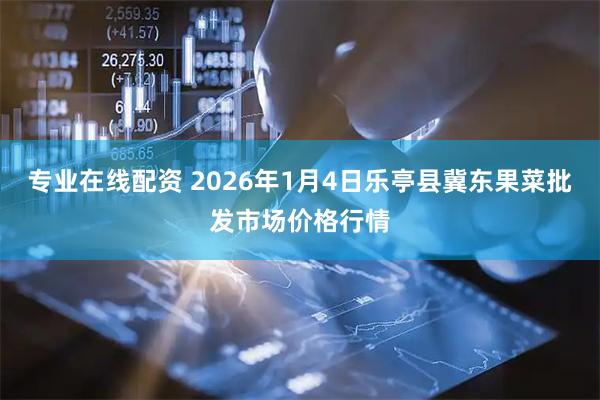 专业在线配资 2026年1月4日乐亭县冀东果菜批发市场价格行情